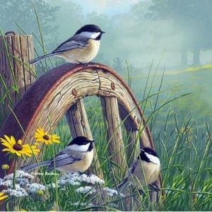 Meet your Posher, Barbara